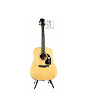 EPIPHONE DR-100 NT Гітара акустична