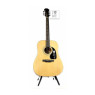 EPIPHONE DR-100 NT Гітара акустична