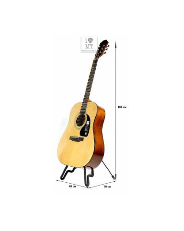 EPIPHONE DR-100 NT Гітара акустична