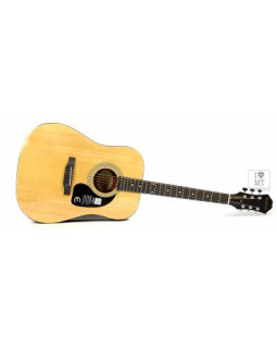 EPIPHONE DR-100 NT Гітара акустична-foto3