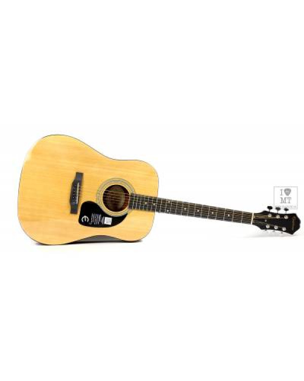 EPIPHONE DR-100 NT Гітара акустична