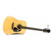 EPIPHONE DR-100 NT Гітара акустична