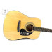 EPIPHONE DR-100 NT Гітара акустична