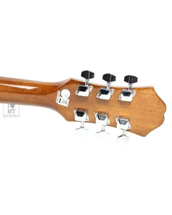 EPIPHONE DR-100 NT Гітара акустична