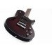 SCHECTER Hellraiser Solo-6 E/A BCH - напівакустична електрогітара