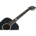 SCHECTER RS-1000 STAGE ACOUSTIC - Акустична гітара з підключенням