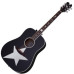 SCHECTER RS-1000 STAGE ACOUSTIC - Акустична гітара з підключенням