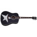 SCHECTER RS-1000 STAGE ACOUSTIC - Акустична гітара з підключенням