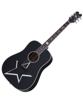 SCHECTER RS-1000 BUSKER ACOUSTIC - Акустична гітара