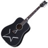 SCHECTER RS-1000 BUSKER ACOUSTIC - Акустична гітара