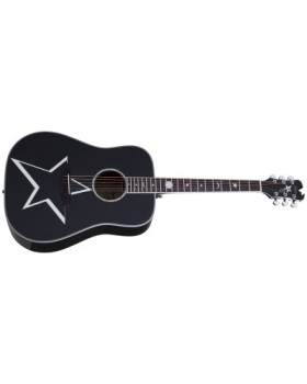 SCHECTER RS-1000 BUSKER ACOUSTIC - Акустична гітара-foto2