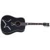 SCHECTER RS-1000 BUSKER ACOUSTIC - Акустична гітара