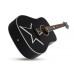 SCHECTER RS-1000 BUSKER ACOUSTIC - Акустична гітара