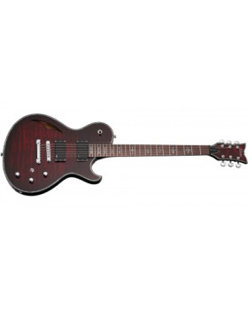 SCHECTER Hellraiser Solo-6 E/A BCH - напівакустична електрогітара-foto2
