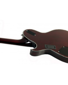 SCHECTER Hellraiser Solo-6 E/A BCH - напівакустична електрогітара-foto9