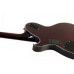 SCHECTER Hellraiser Solo-6 E/A BCH - напівакустична електрогітара