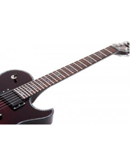 SCHECTER Hellraiser Solo-6 E/A BCH - напівакустична електрогітара-foto10