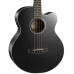 CORT AB850F (Black) Акустична бас-гітара