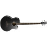 CORT AB850F (Black) Акустична бас-гітара