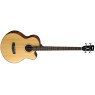 CORT AB850F (Natural Glossy) Акустична бас-гітара