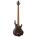 Бас-гітара LTD F204FM (Walnut Brown Satin)