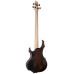 Бас-гітара LTD F204FM (Walnut Brown Satin)
