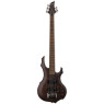 Бас-гітара LTD F205FM (Walnut Brown Satin)