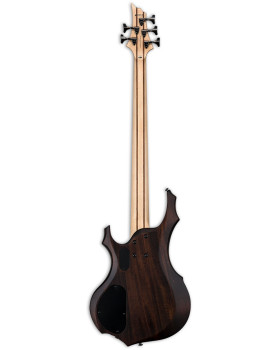 Бас-гітара LTD F205FM (Walnut Brown Satin)-foto2