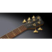 Бас-гітара WARWICK Teambuilt Pro Series Thumb BO5 Ltd 2020, 5-String
