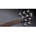 Бас-гітара WARWICK Teambuilt Pro Series Streamer LX, 5-String
