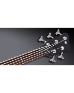 Бас-гітара WARWICK Teambuilt Pro Series Corvette $$, 5-String (Nirvana Black Transparent Satin)-foto4