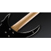 Бас-гітара WARWICK RockBass Vampyre, 5-String (Solid Black High Polish)