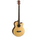 Бас-гітара CORT SJB 5F (Natural Satin)