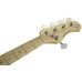 Бас-гітара SADOWSKY MetroExpress 21-Fret Hybrid P/J Bass, Maple, 5-String (Solid Black High Polish)