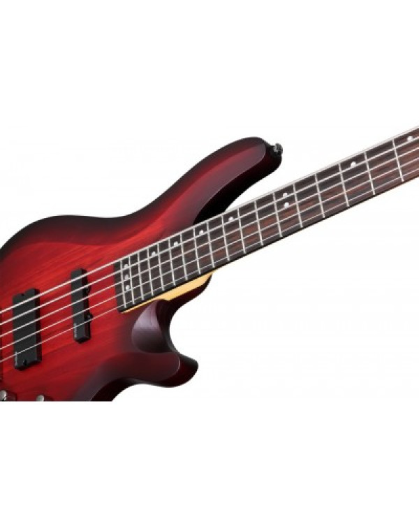 SCHECTER C-5 CUSTOM TCS - п'ятиструнна бас-гітара