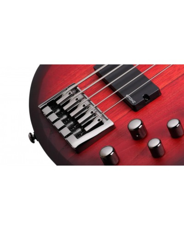 SCHECTER C-5 CUSTOM TCS - п'ятиструнна бас-гітара