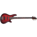 SCHECTER C-5 CUSTOM TCS - п'ятиструнна бас-гітара