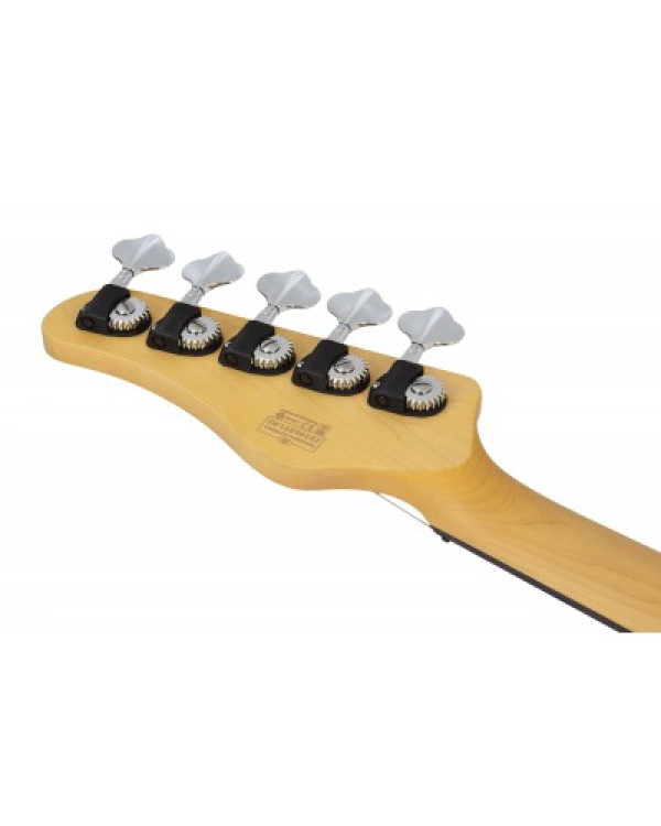 SCHECTER CV-5 GNAT - п'ятиструнна бас-гітара