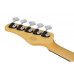 SCHECTER CV-5 GNAT - п'ятиструнна бас-гітара