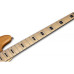 SCHECTER DIAMOND-J 5 PLUS AN - п'ятиструнна бас-гітара