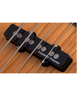 SCHECTER DIAMOND-J PLUS AN - чотириструнна бас-гітара-foto4