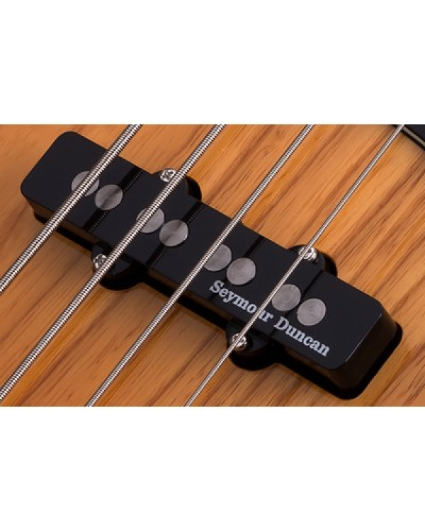 SCHECTER DIAMOND-J PLUS AN - чотириструнна бас-гітара