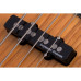 SCHECTER DIAMOND-J PLUS AN - чотириструнна бас-гітара