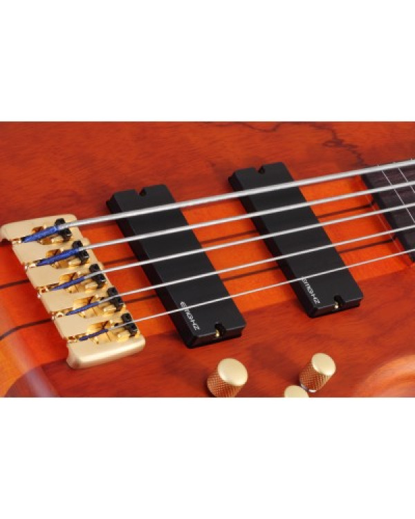 SCHECTER STILETTO STUDIO-5 FL HSN - п'ятиструнна бас-гітара, безладова