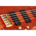 SCHECTER STILETTO STUDIO-5 FL HSN - п'ятиструнна бас-гітара, безладова