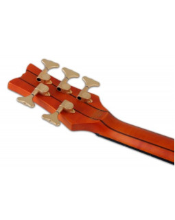 SCHECTER STILETTO STUDIO-5 FL HSN - п'ятиструнна бас-гітара, безладова-foto9
