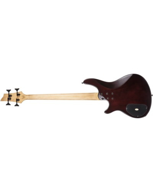 C-4 BASS SGR BY SCHECTER WSN - Бас гітара чотириструнна