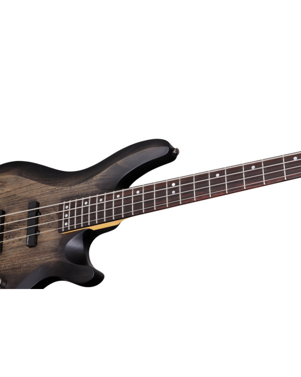 SCHECTER C-4 CUSTOM TBS - чотириструнна бас-гітара