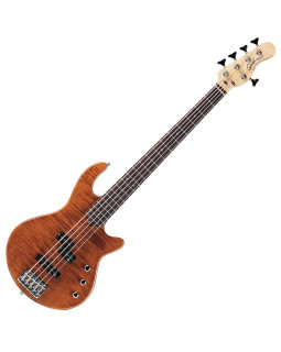 GODIN 019663 - FREEWAY 5 BASS Natural SG (Made in Canada) - п'ятиструнна бас-гітара