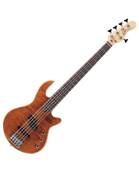 GODIN 019663 - FREEWAY 5 BASS Natural SG (Made in Canada) - п'ятиструнна бас-гітара